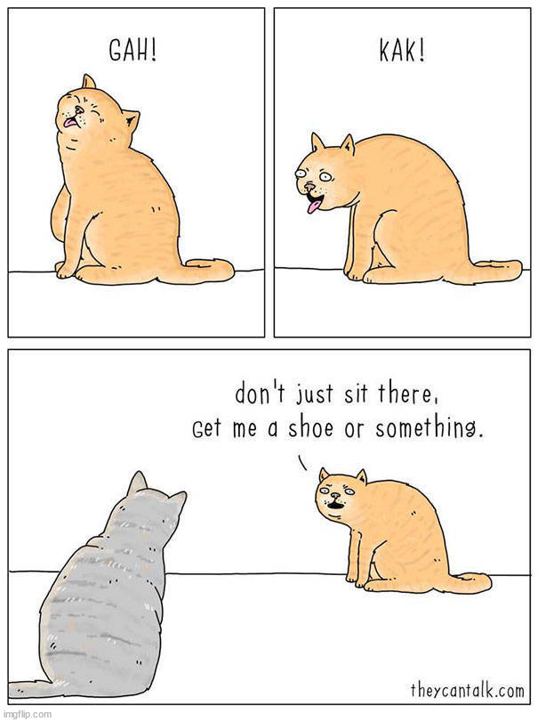 image tagged in comics/cartoons | made w/ Imgflip meme maker
