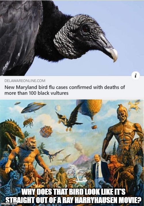 Creepy Pic | WHY DOES THAT BIRD LOOK LIKE IT'S STRAIGHT OUT OF A RAY HARRYHAUSEN MOVIE? | image tagged in ray harryhausen,claymation | made w/ Imgflip meme maker