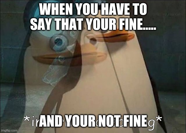 Private Internal Screaming | WHEN YOU HAVE TO SAY THAT YOUR FINE..... AND YOUR NOT FINE | image tagged in private internal screaming | made w/ Imgflip meme maker