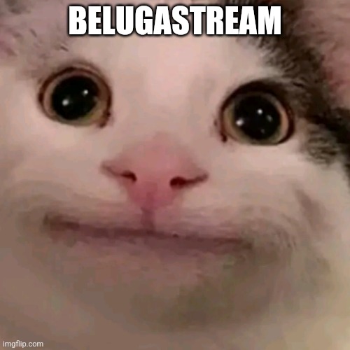 Link in comments |  BELUGASTREAM | image tagged in beluga | made w/ Imgflip meme maker