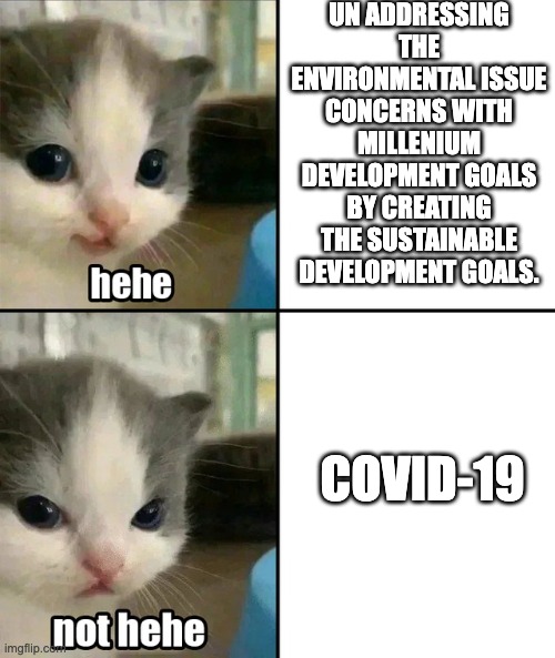 Cute cat hehe and not hehe | UN ADDRESSING THE ENVIRONMENTAL ISSUE CONCERNS WITH MILLENIUM DEVELOPMENT GOALS BY CREATING THE SUSTAINABLE DEVELOPMENT GOALS. COVID-19 | image tagged in cute cat hehe and not hehe | made w/ Imgflip meme maker