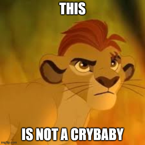Kion crybaby |  THIS; IS NOT A CRYBABY | image tagged in kion crybaby,memes,the lion guard | made w/ Imgflip meme maker