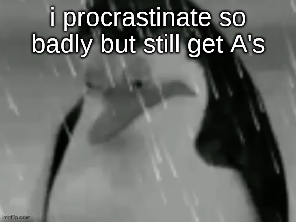 the sad | i procrastinate so badly but still get A's | image tagged in the sad | made w/ Imgflip meme maker