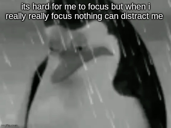 the sad | its hard for me to focus but when i really really focus nothing can distract me | image tagged in the sad | made w/ Imgflip meme maker