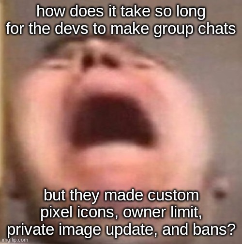 smh it's like they're stalling | how does it take so long for the devs to make group chats; but they made custom pixel icons, owner limit, private image update, and bans? | made w/ Imgflip meme maker