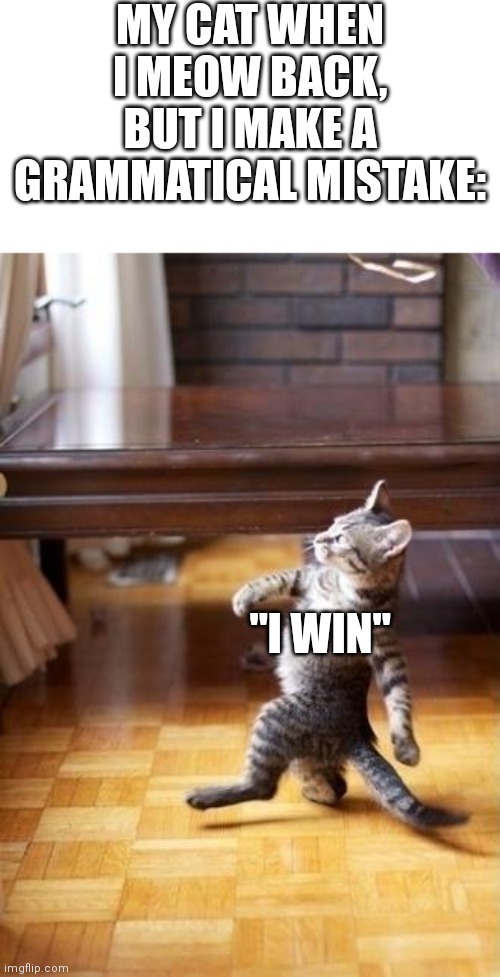 Suprise! Its a discord argument |  MY CAT WHEN I MEOW BACK, BUT I MAKE A GRAMMATICAL MISTAKE:; "I WIN" | image tagged in memes,cool cat stroll | made w/ Imgflip meme maker