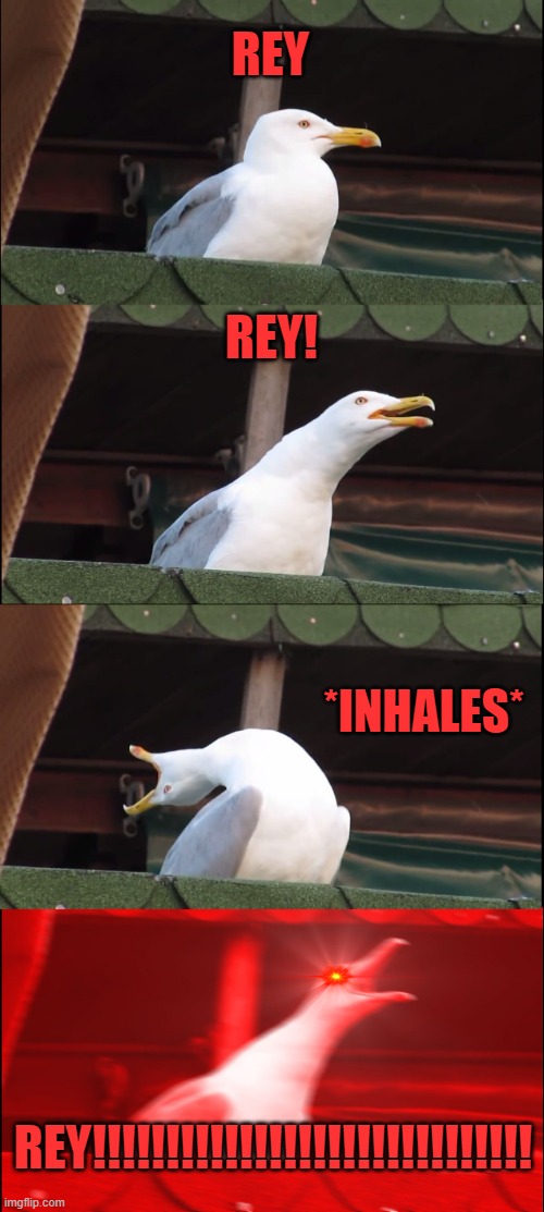*Screams intensify* | REY; REY! *INHALES*; REY!!!!!!!!!!!!!!!!!!!!!!!!!!!!!! | image tagged in memes,inhaling seagull | made w/ Imgflip meme maker