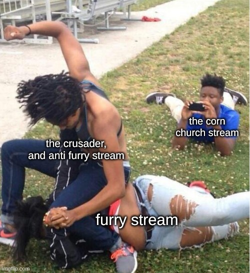 :) :o | the corn church stream; the crusader, and anti furry stream; furry stream | image tagged in guy recording a fight | made w/ Imgflip meme maker