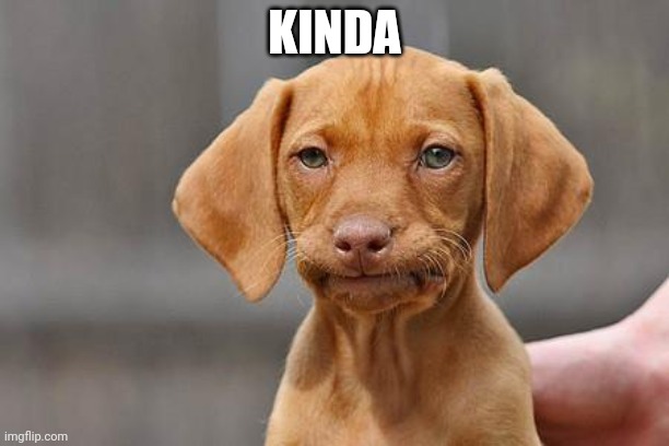 Dissapointed puppy | KINDA | image tagged in dissapointed puppy | made w/ Imgflip meme maker