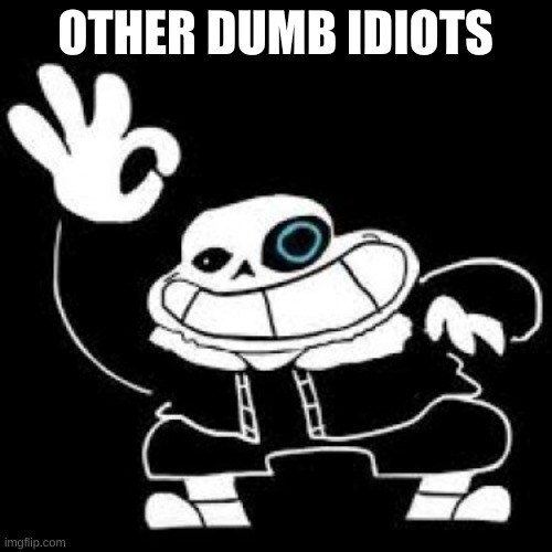 sans is ok | OTHER DUMB IDIOTS | image tagged in sans is ok | made w/ Imgflip meme maker
