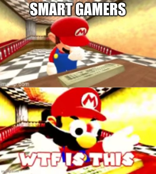 WTF IS THIS | SMART GAMERS | image tagged in wtf is this | made w/ Imgflip meme maker