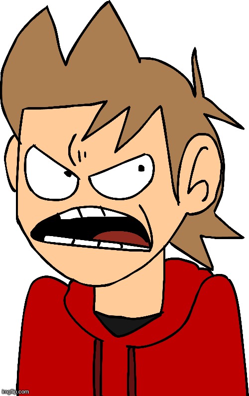 tord angry reborn | image tagged in unnecessary tags | made w/ Imgflip meme maker