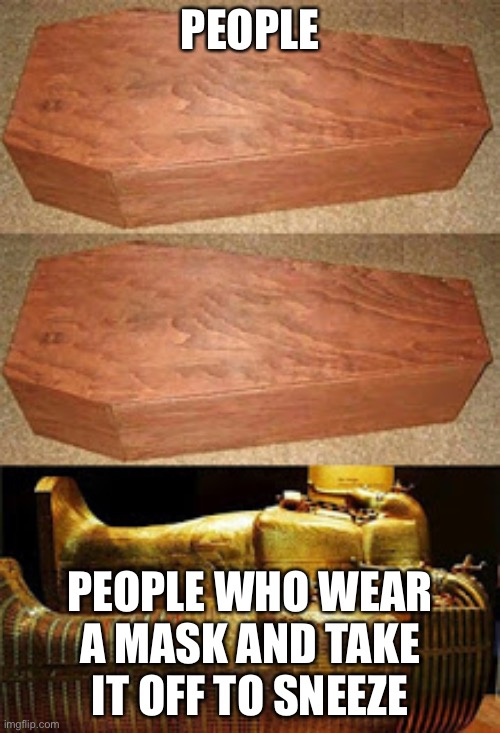 Golden coffin meme | PEOPLE; PEOPLE WHO WEAR A MASK AND TAKE IT OFF TO SNEEZE | image tagged in golden coffin meme | made w/ Imgflip meme maker