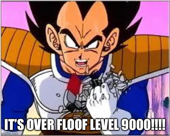 IT’S OVER FLOOF LEVEL 9000!!!! | image tagged in its over 9000 | made w/ Imgflip meme maker