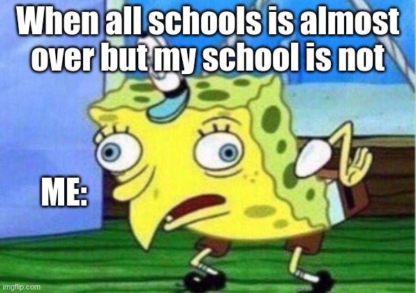WHY! WHY! | When all schools is almost over but my school is not; ME: | image tagged in memes,mocking spongebob,why,school,meme,crazy | made w/ Imgflip meme maker