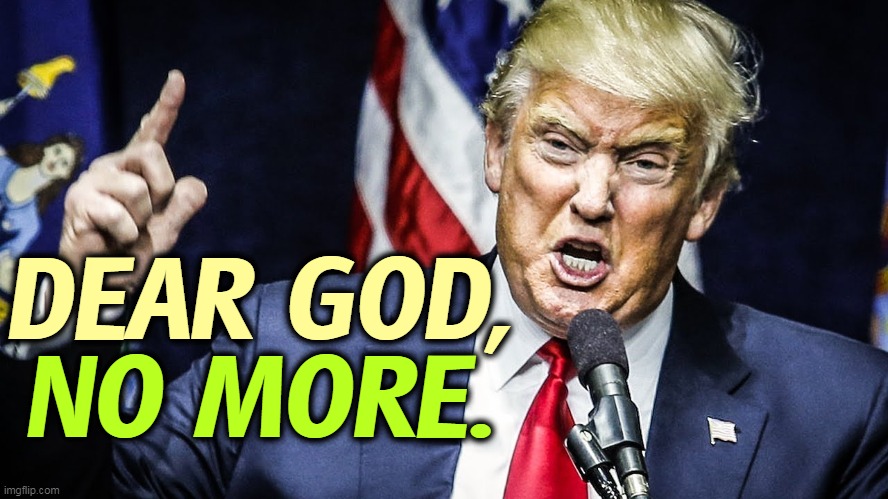 He's so damned sick. | DEAR GOD, NO MORE. | image tagged in trump angry,trump,republicans,corruption,ignorance,incompetence | made w/ Imgflip meme maker