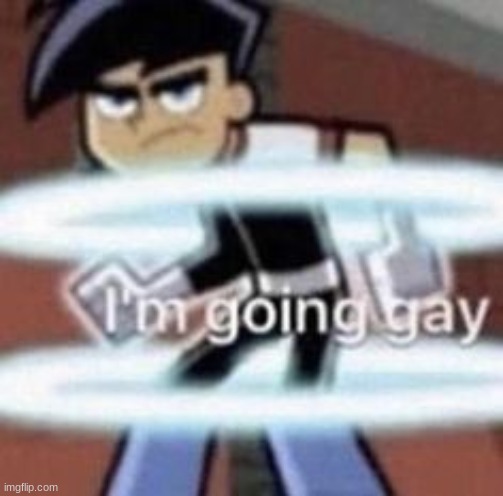 im going gay | image tagged in im going gay | made w/ Imgflip meme maker