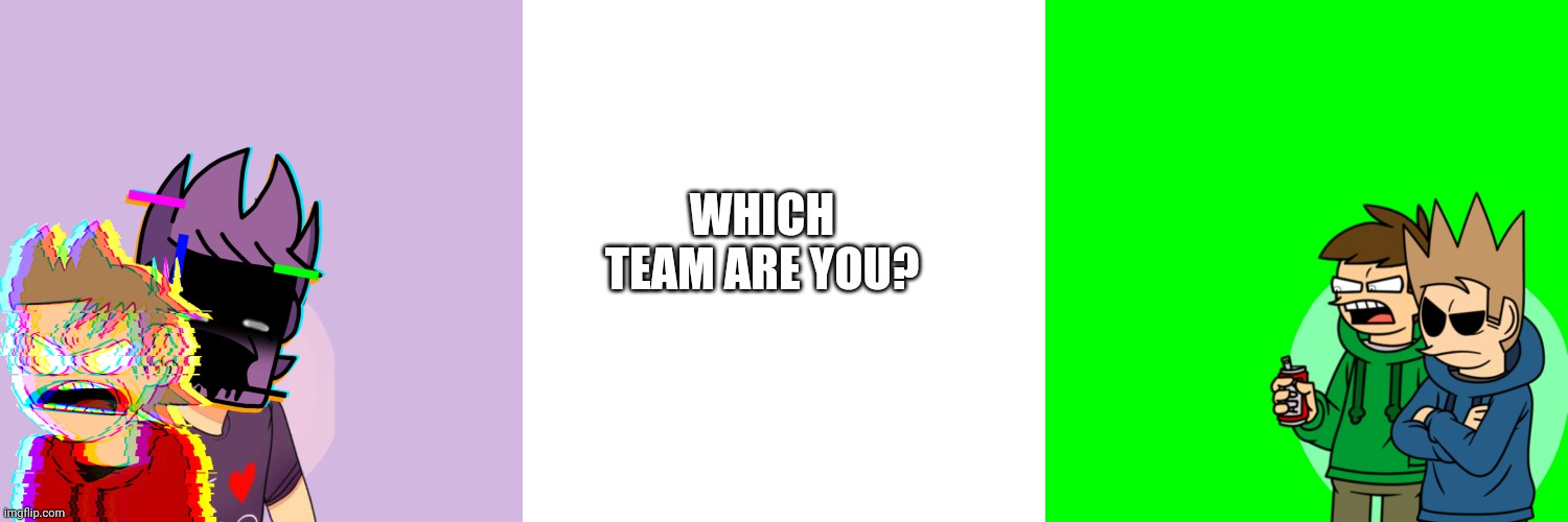 Which team? |  WHICH TEAM ARE YOU? | image tagged in memes,blank transparent square,eddsworld | made w/ Imgflip meme maker