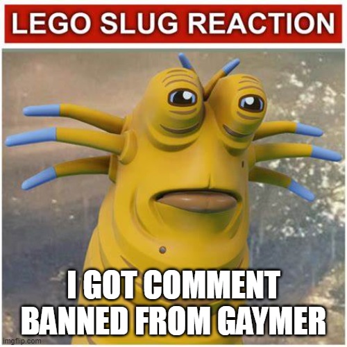 LEGO Slug Reaction | I GOT COMMENT BANNED FROM GAYMER | image tagged in lego slug reaction | made w/ Imgflip meme maker