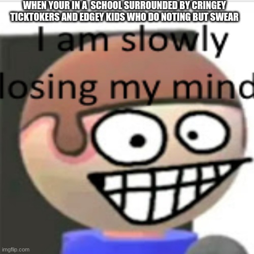 im slowly losing my mind | WHEN YOUR IN A  SCHOOL SURROUNDED BY CRINGEY TICKTOKERS AND EDGEY KIDS WHO DO NOTING BUT SWEAR | image tagged in im slowly losing my mind | made w/ Imgflip meme maker