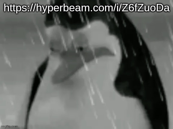 the sad | https://hyperbeam.com/i/Z6fZuoDa | image tagged in the sad | made w/ Imgflip meme maker