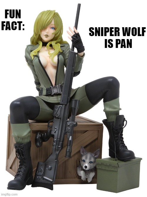 Look it up, It's canon. | SNIPER WOLF
 IS PAN; FUN FACT: | image tagged in metal gear,sniper wolf,memes,pan,canon | made w/ Imgflip meme maker