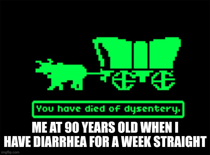 . | ME AT 90 YEARS OLD WHEN I HAVE DIARRHEA FOR A WEEK STRAIGHT | image tagged in you have died of dysentery | made w/ Imgflip meme maker