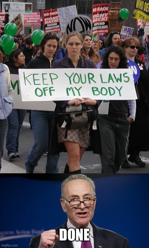 Thanks Senate Dems | DONE | image tagged in chuck schumer | made w/ Imgflip meme maker