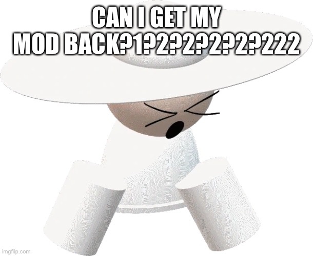 no | CAN I GET MY MOD BACK?1?2?2?2?2?222 | image tagged in fard | made w/ Imgflip meme maker