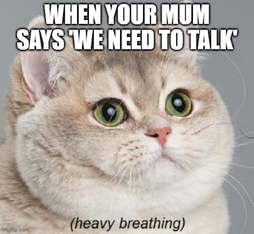 Scary | WHEN YOUR MUM SAYS 'WE NEED TO TALK' | image tagged in memes,heavy breathing cat | made w/ Imgflip meme maker