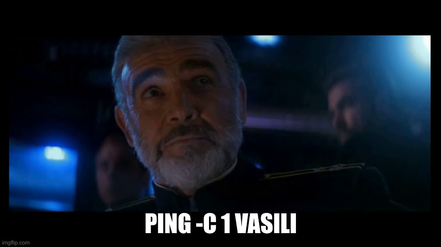 PING -C 1 VASILI | image tagged in ProgrammerHumor | made w/ Imgflip meme maker