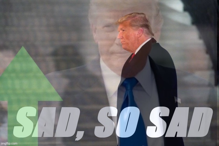 Trump upvote sad so sad | image tagged in trump upvote sad so sad | made w/ Imgflip meme maker