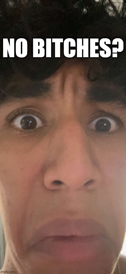 NO BITCHES? | made w/ Imgflip meme maker