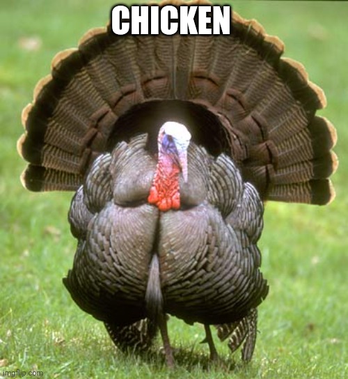 Turkey Meme | CHICKEN | image tagged in memes,turkey | made w/ Imgflip meme maker