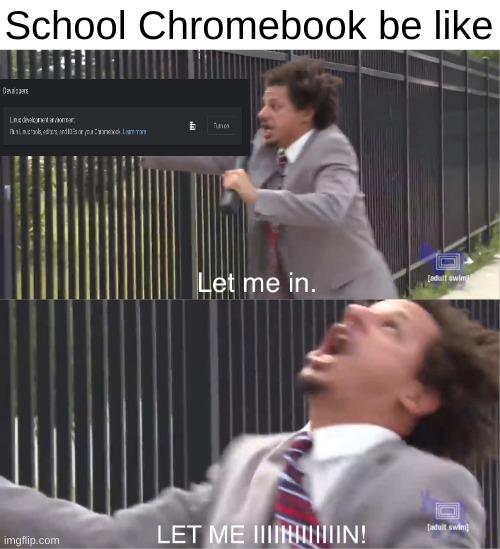 I just want to run Linux... | School Chromebook be like | image tagged in let me in,linux,chromebook,school | made w/ Imgflip meme maker