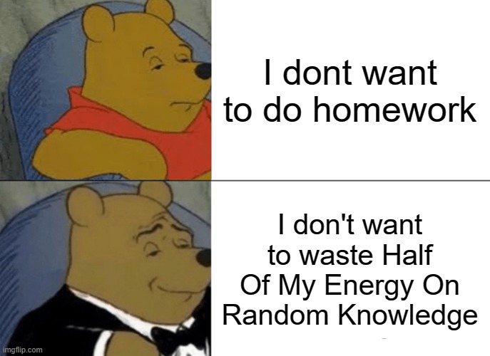 Tuxedo Winnie The Pooh | I dont want to do homework; I don't want to waste Half Of My Energy On Random Knowledge | image tagged in memes,tuxedo winnie the pooh | made w/ Imgflip meme maker