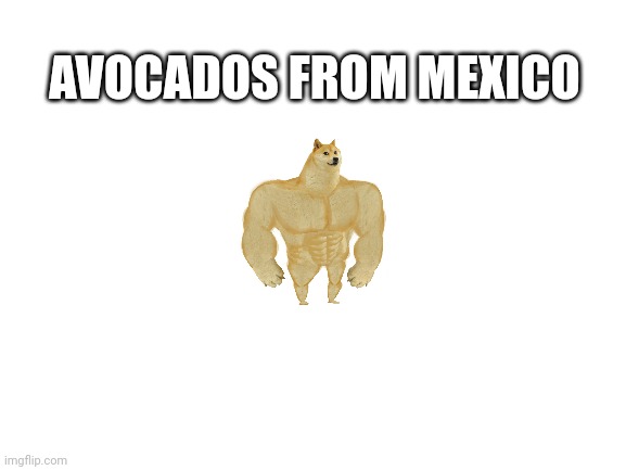 Blank White Template | AVOCADOS FROM MEXICO | image tagged in blank white template | made w/ Imgflip meme maker