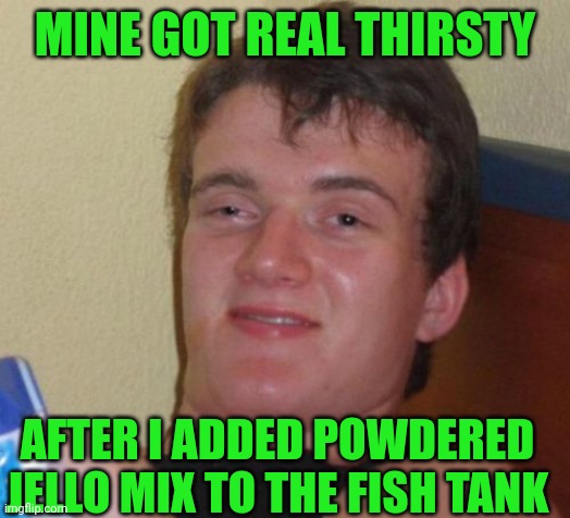 10 Guy Meme | MINE GOT REAL THIRSTY AFTER I ADDED POWDERED JELLO MIX TO THE FISH TANK | image tagged in memes,10 guy | made w/ Imgflip meme maker