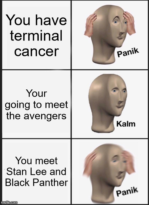 crap | You have terminal cancer; Your going to meet the avengers; You meet Stan Lee and Black Panther | image tagged in memes,panik kalm panik,avengers | made w/ Imgflip meme maker