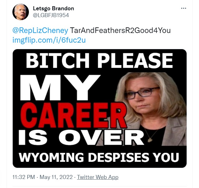 Letsgo Brandon Liz Cheney tweet | image tagged in lets go brandon,liz cheney,bitch please,wyoming,tar and feathers,rino | made w/ Imgflip meme maker