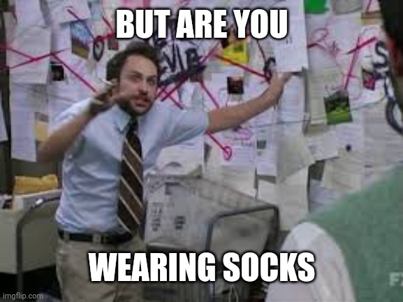 conspiracy theory | BUT ARE YOU WEARING SOCKS | image tagged in conspiracy theory | made w/ Imgflip meme maker