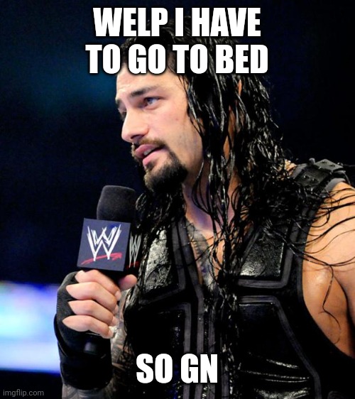 roman reigns | WELP I HAVE TO GO TO BED; SO GN | image tagged in roman reigns | made w/ Imgflip meme maker