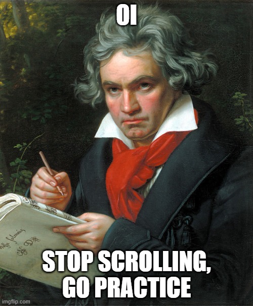 Stop scrolling, go practice. You have dreams you know? | OI; STOP SCROLLING, GO PRACTICE | image tagged in beethoven | made w/ Imgflip meme maker