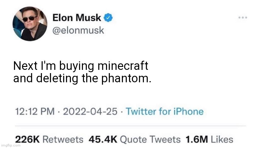 Oh how I wish | Next I'm buying minecraft and deleting the phantom. | image tagged in elon musk buying company,minecraft | made w/ Imgflip meme maker
