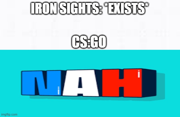 well its tru | IRON SIGHTS: *EXISTS*; CS:GO | image tagged in memes | made w/ Imgflip meme maker
