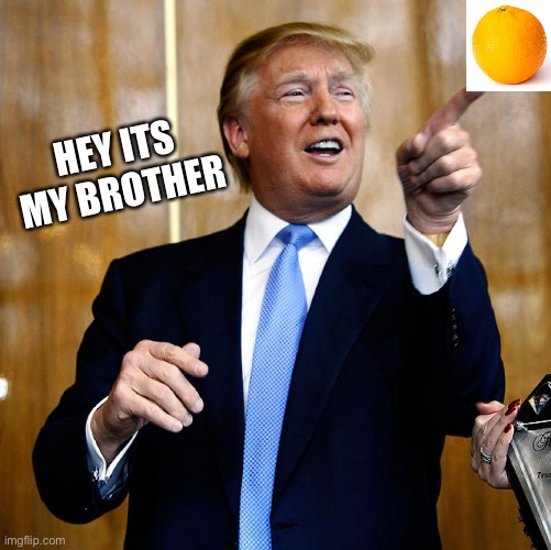 Donal Trump Birthday | HEY ITS MY BROTHER | image tagged in donal trump birthday | made w/ Imgflip meme maker