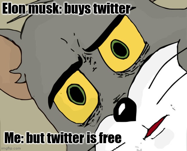 Brain explode | Elon musk: buys twitter; Me: but twitter is free | image tagged in memes,unsettled tom,shower thoughts,elon musk,twitter | made w/ Imgflip meme maker