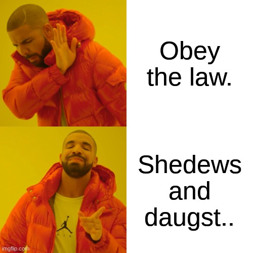 Drake Hotline Bling Meme | Obey the law. Shedews and daugst.. | image tagged in memes,drake hotline bling | made w/ Imgflip meme maker