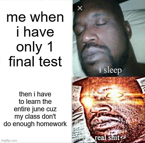 dam | me when i have only 1 final test; then i have to learn the entire june cuz my class don't do enough homework | image tagged in memes,sleeping shaq | made w/ Imgflip meme maker