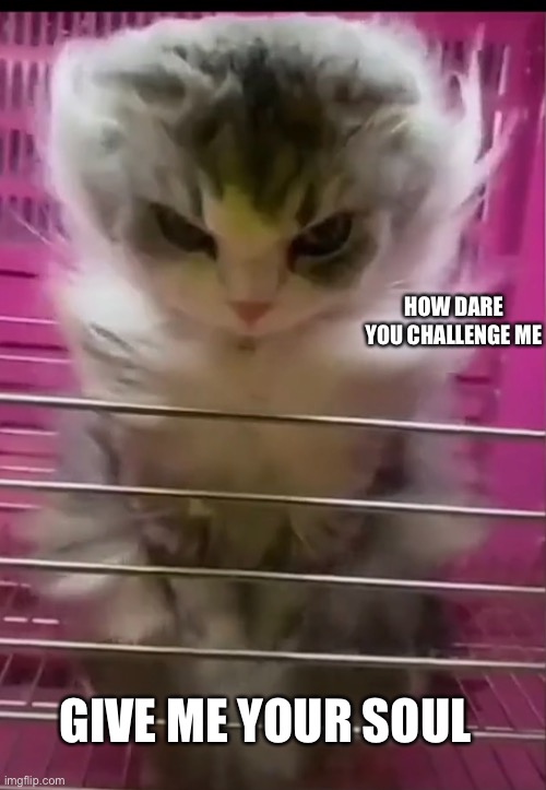 Cat God template | HOW DARE YOU CHALLENGE ME; GIVE ME YOUR SOUL | image tagged in cat god | made w/ Imgflip meme maker